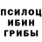 Псилоцибиновые грибы GOLDEN TEACHER Jorabek Imomov