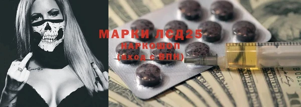индика Балахна