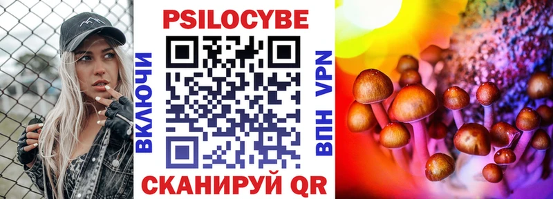 закладка  Ишимбай  Псилоцибиновые грибы Psilocybe 
